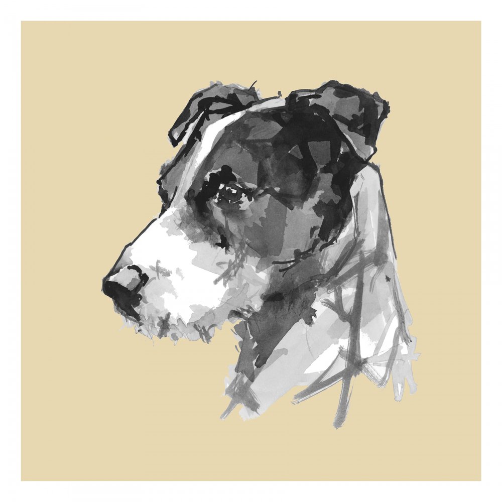 Retrato de um cão moderno de cartissi