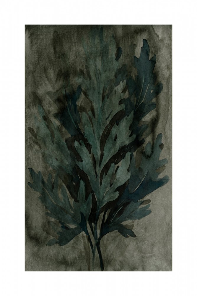 Folhas Botânicas Moody de cartissi