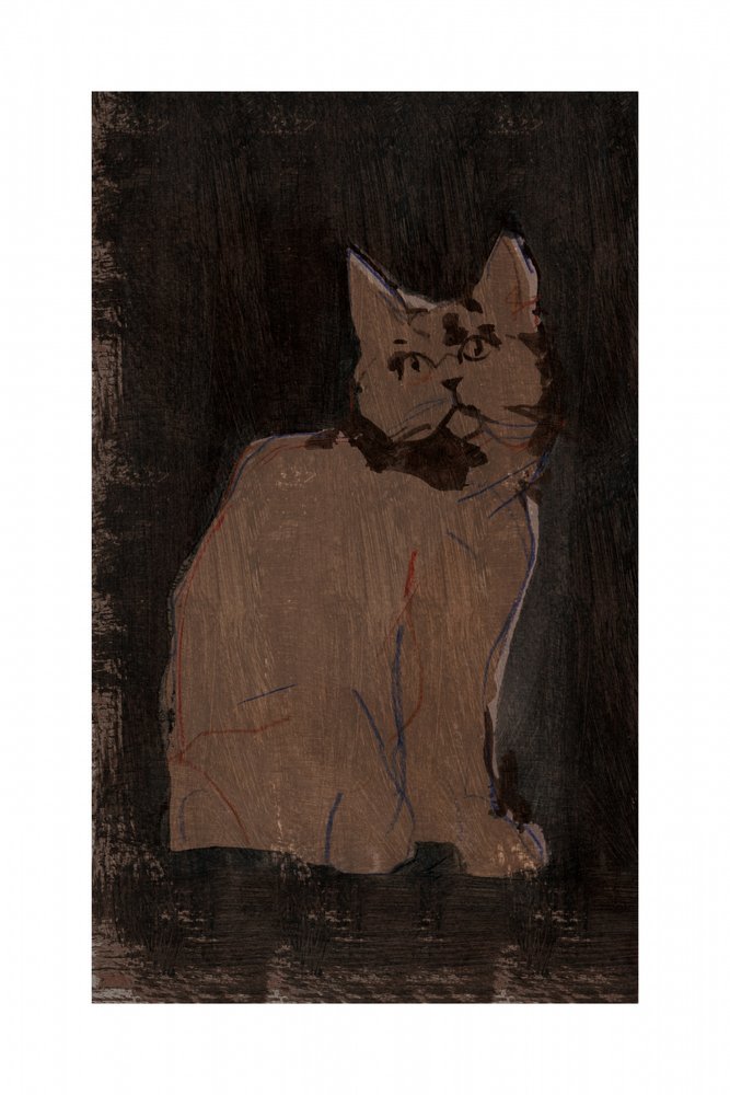 Retrato de um gato mal-humorado de cartissi