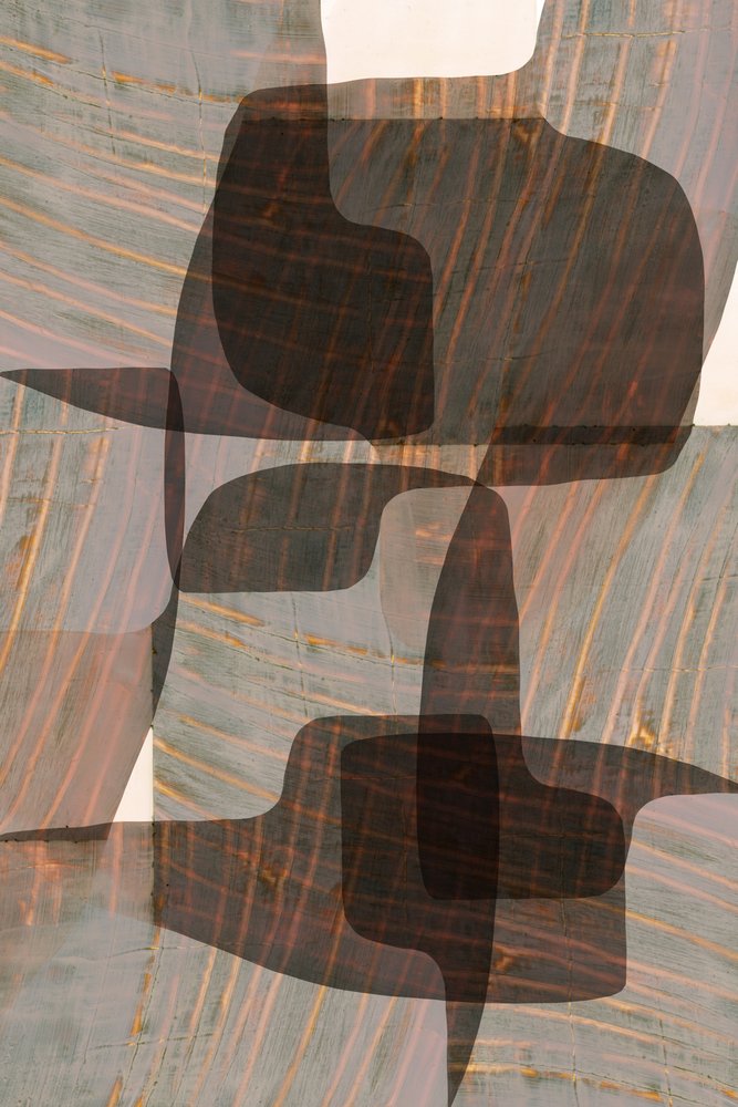Formas orgânicas suaves de cartissi