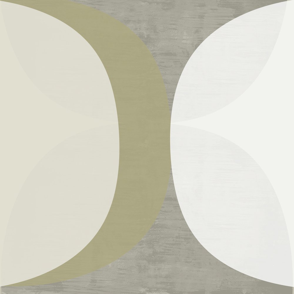 Curvas abstratas neutras de cartissi