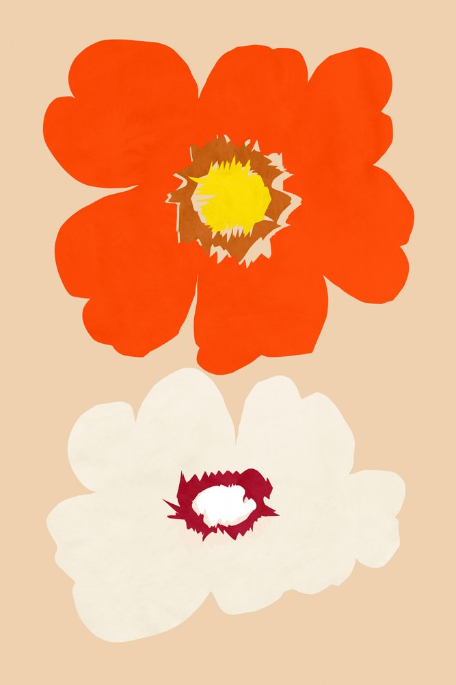 Flores laranja e brancas de cartissi