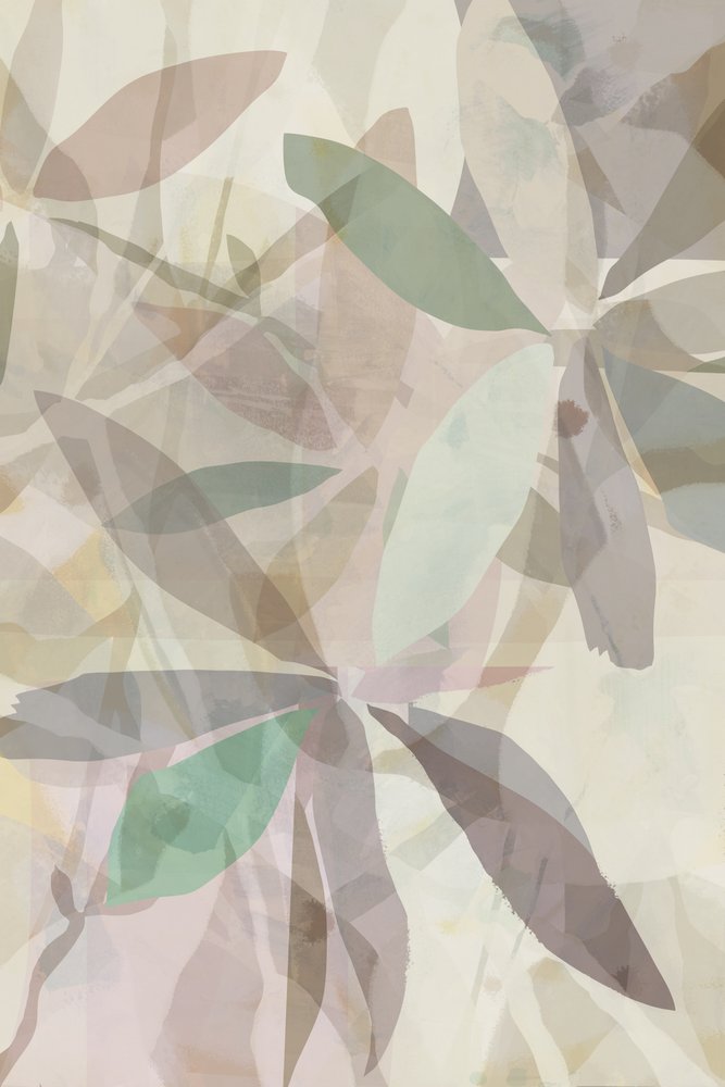 Folhas abstratas suaves de cartissi