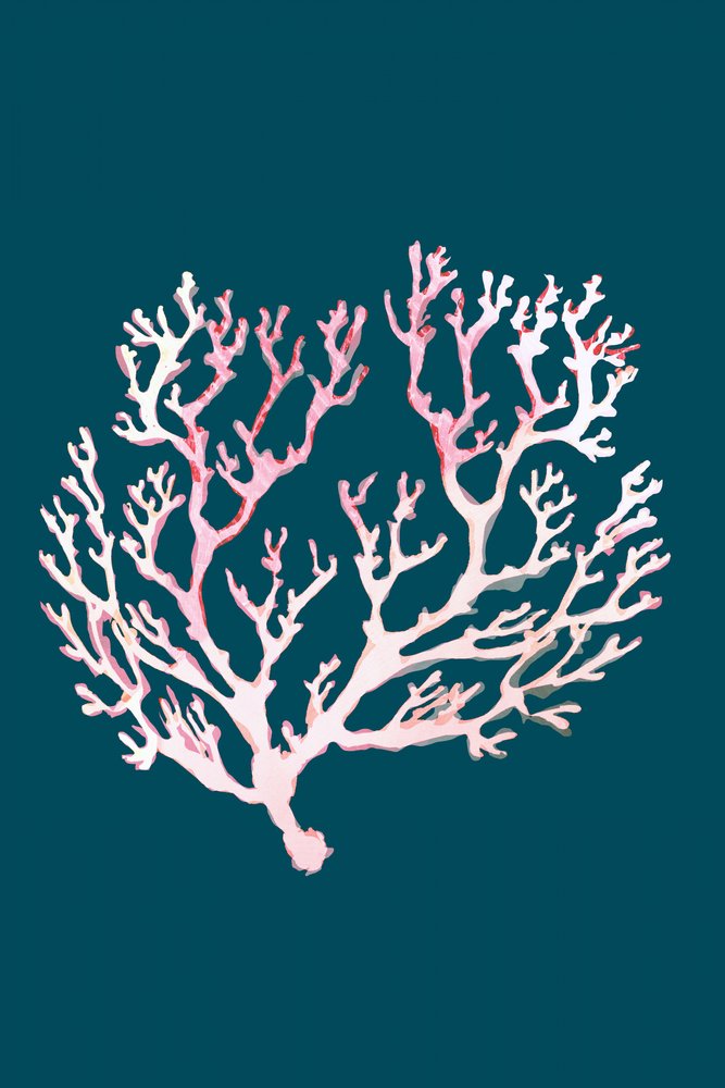 Coral rosa suave de cartissi