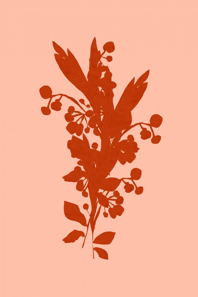 Silhueta floral em terracota de cartissi
