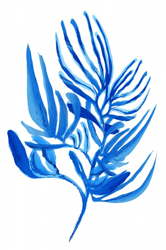Folhagem azul tropical de cartissi