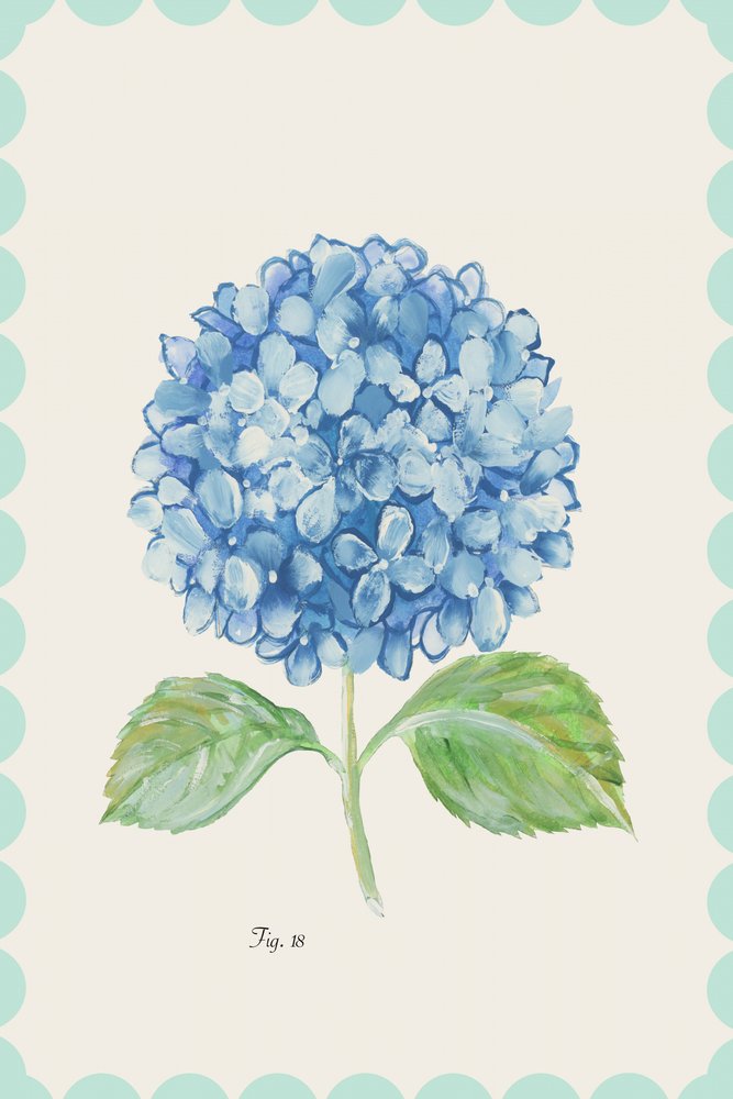 Flor de hortênsia azul vintage de cartissi