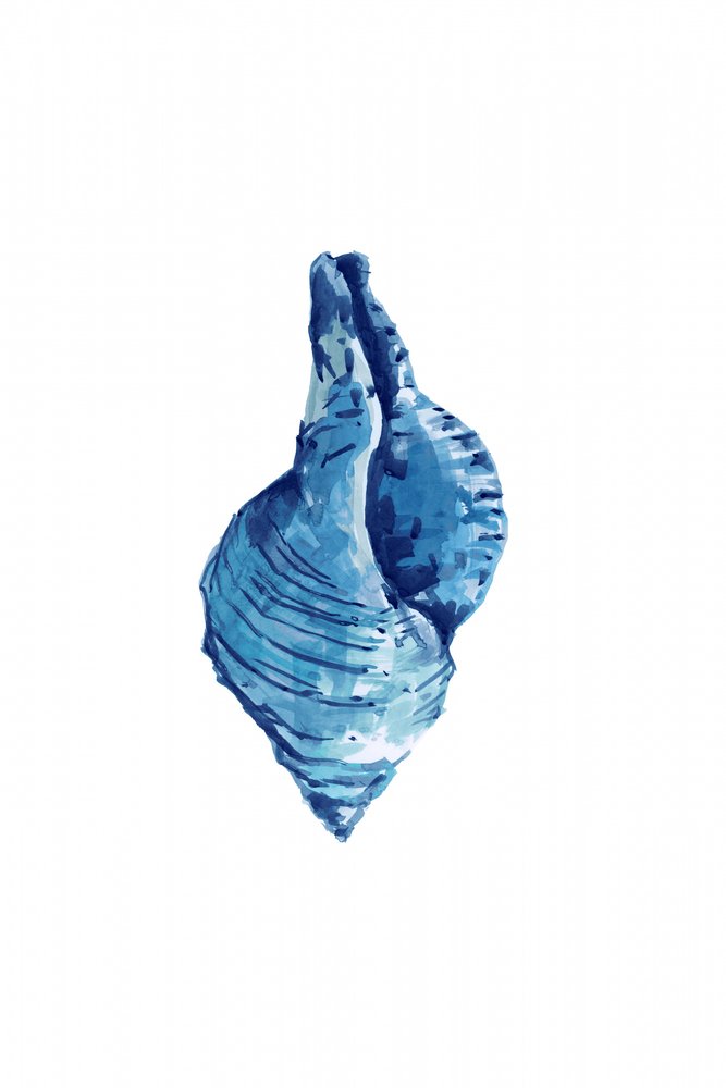 Concha azul em aguarela de cartissi