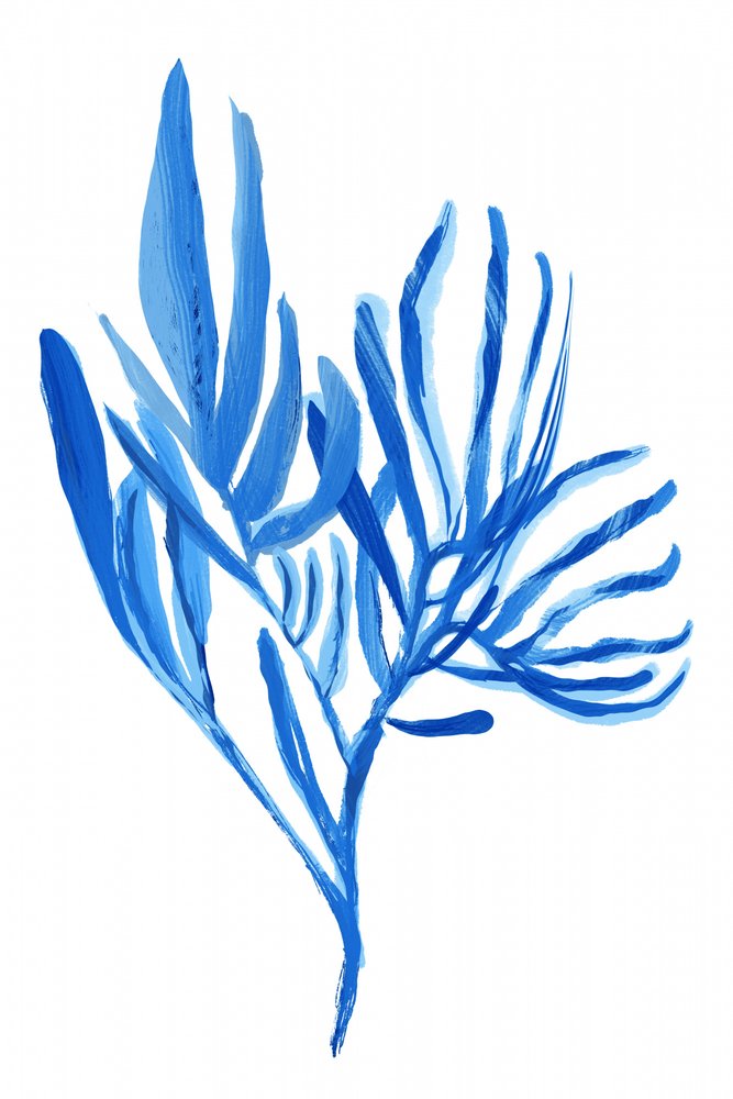Formas vegetais em azul aquoso de cartissi