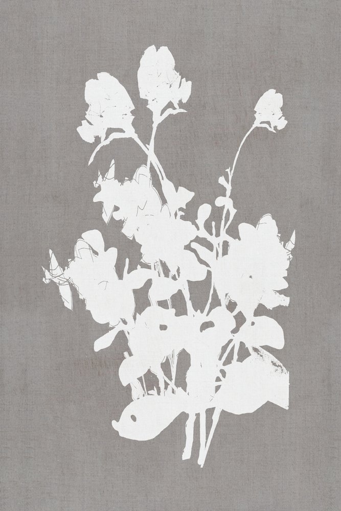 Silhueta floral branca de cartissi