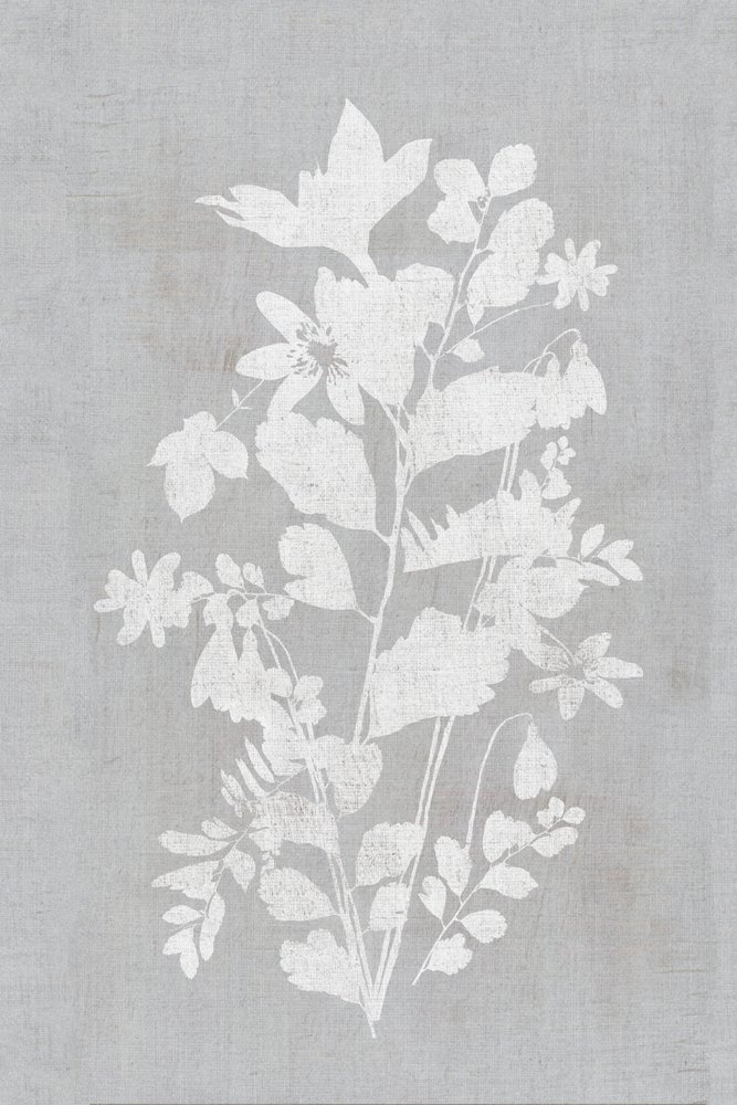 Silhueta floral branca de cartissi