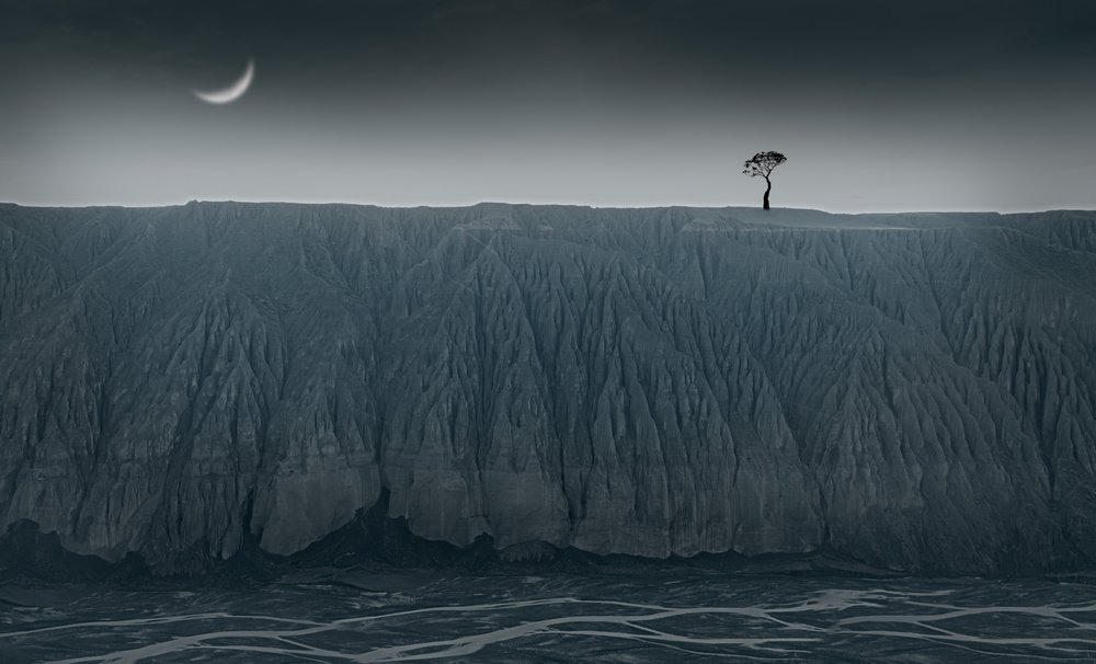  de chenyi wang