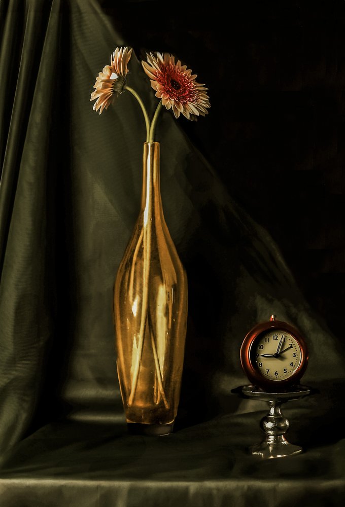 Natureza morta com gerberas douradas de jlloydphoto