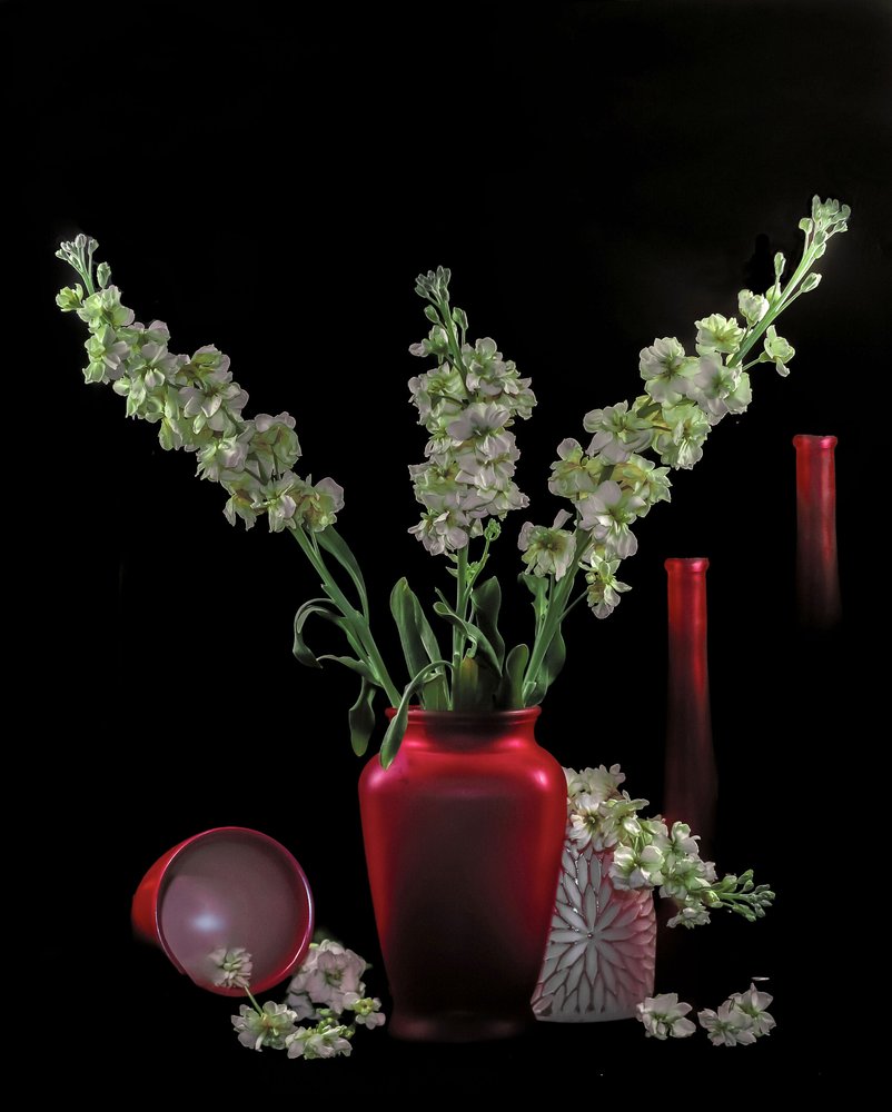 Flores verdes em vasos vermelhos de jlloydphoto