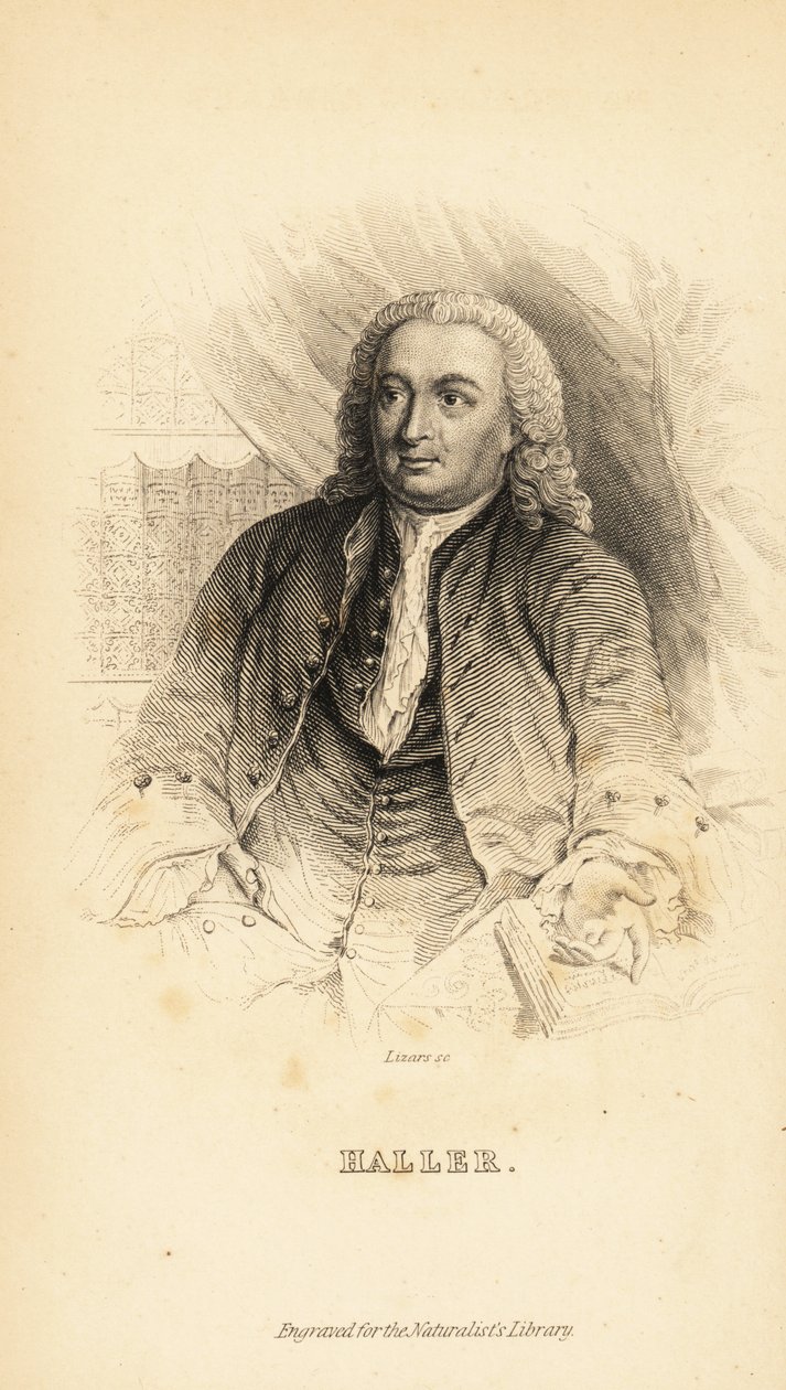 Albrecht von Haller, anatomista suíço, naturalista e poeta, 1708-1777 de Unknown