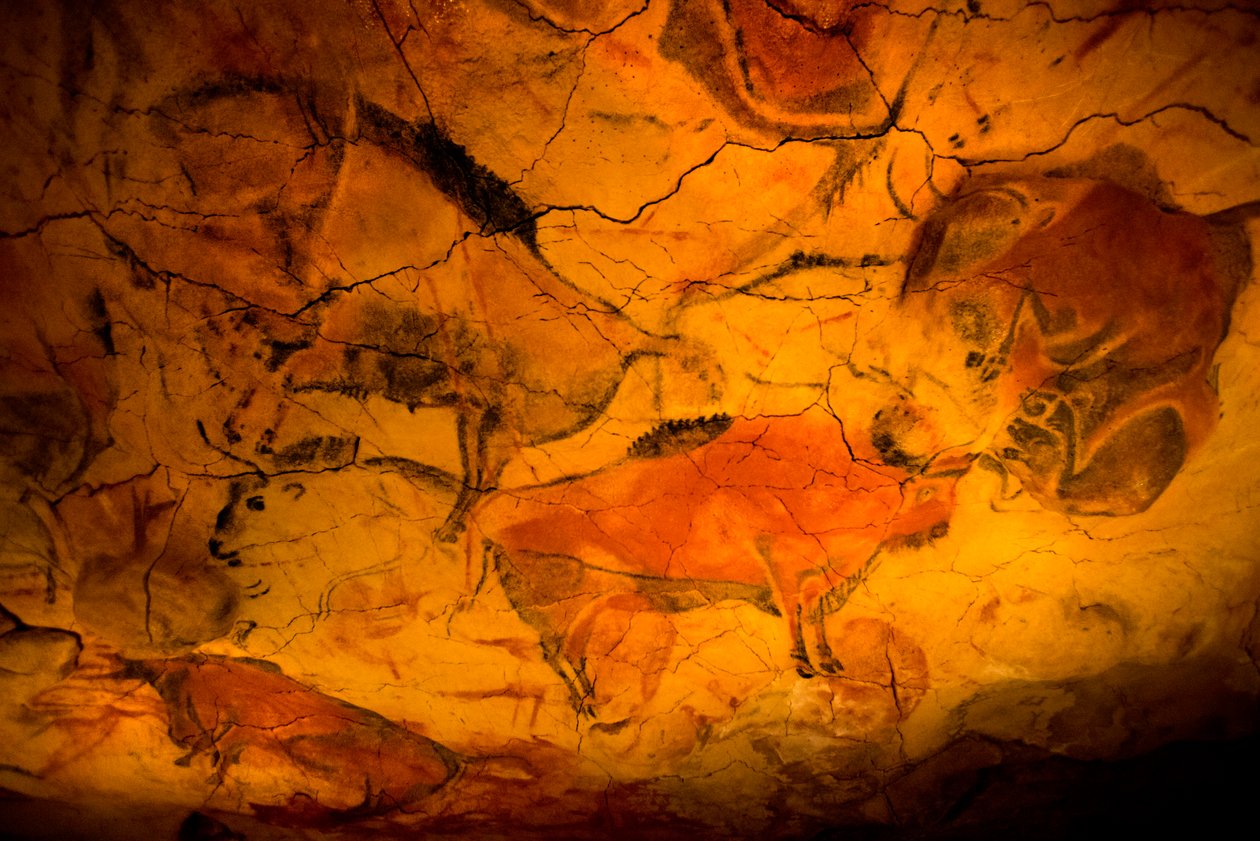 Bison, quadro, em, Altamira, cavernas, museu paleolithic superior, Santander, cantabria, espanha de Unknown