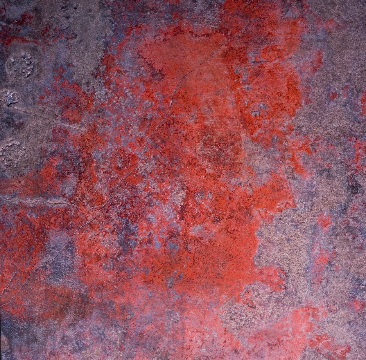 Detalhe, de, um, fresco de Unknown