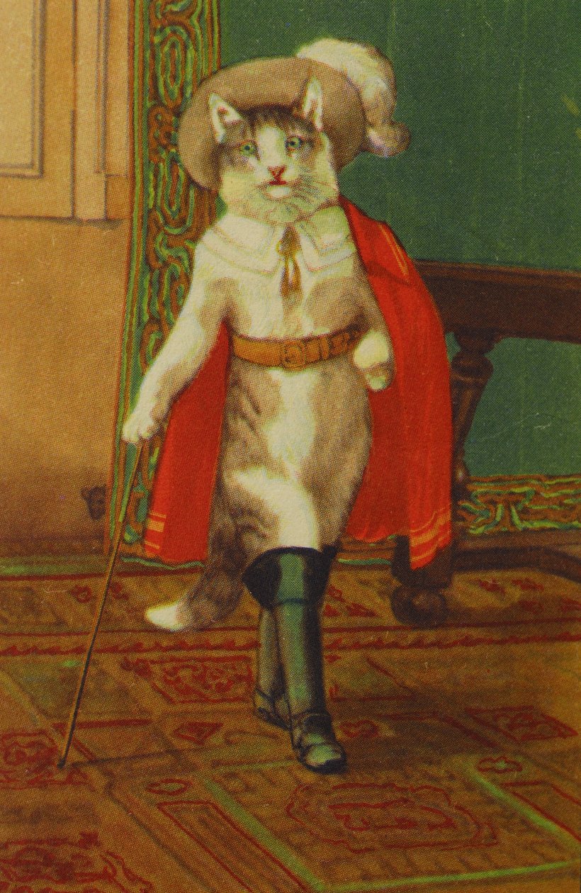 IllustrationThe CatConte Boot por Perrault de Unknown