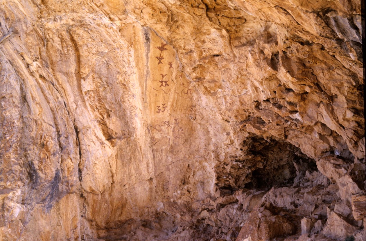 Los Sigreros Cave, perto de Velez Blanco, Andaluzia, 4000 aC, pinturas rupestres de aves de Unknown