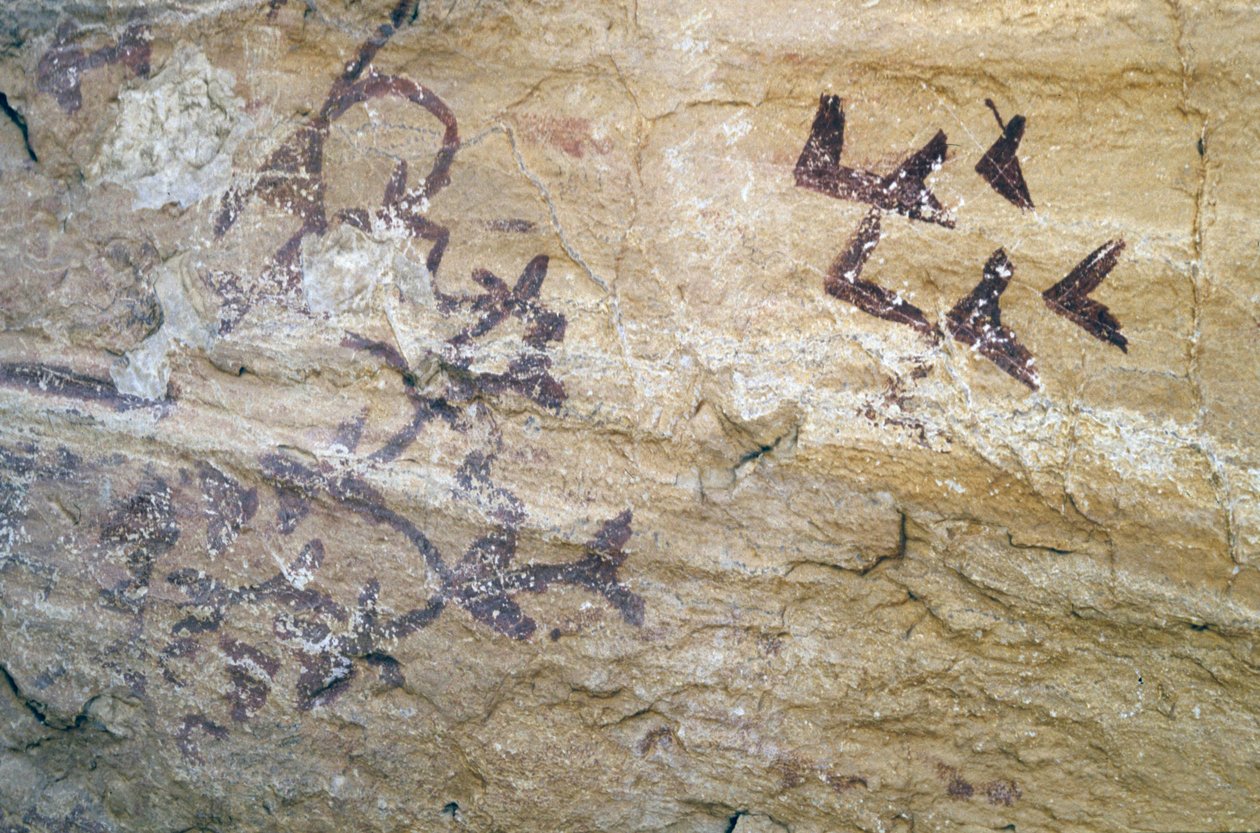 Los Sigreros Cave, perto de Velez Blanco, Andaluzia, 4000 aC, pinturas rupestres de aves de Unknown