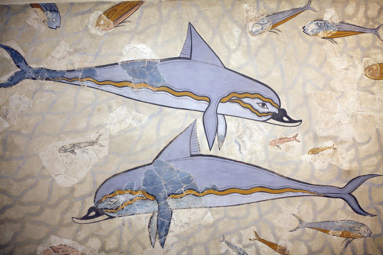 Arte minóica. O "Dolphin Fresco". O afresco decorava a parede ou o piso de um corredor acima da rainha megaron. Fresco reconstruído a partir de fragmentos do trabalho original encontrado em Knossos (1600 - 1450 B de Unknown