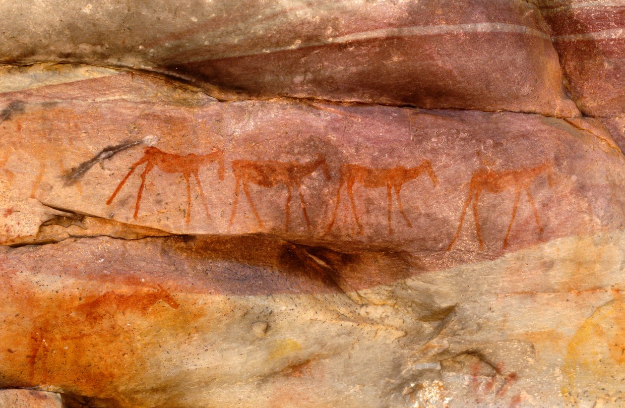 Pinturas rupestres de San (bosquímanos), Cedarburg, Western Cape de Unknown