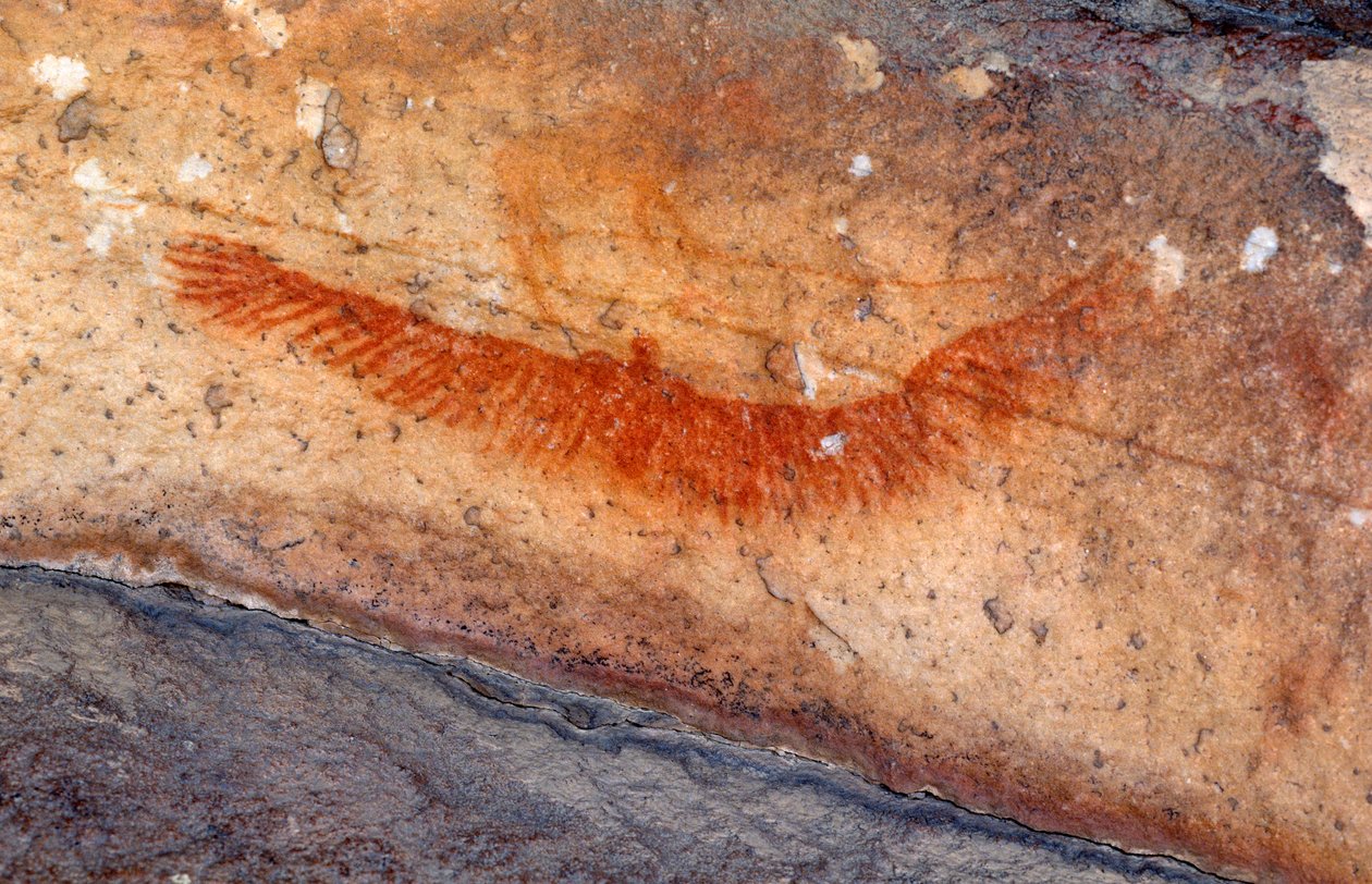 Pinturas rupestres de San (bosquímanos), Cedarburg, Western Cape de Unknown