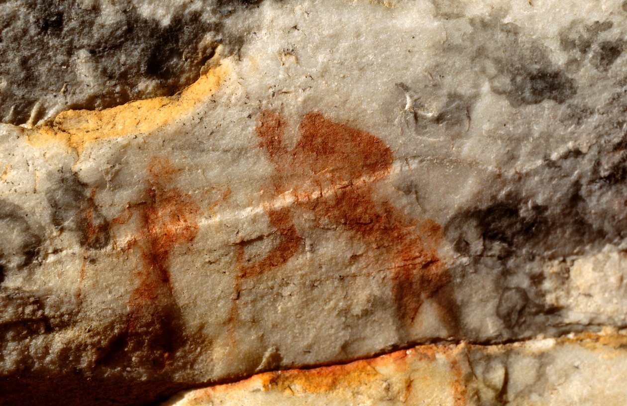 Pinturas rupestres de San (bosquímanos), Cedarburg, Western Cape de Unknown