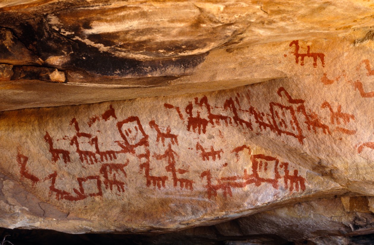 Pinturas rupestres de San (bosquímanos), Cedarburg, Western Cape de Unknown