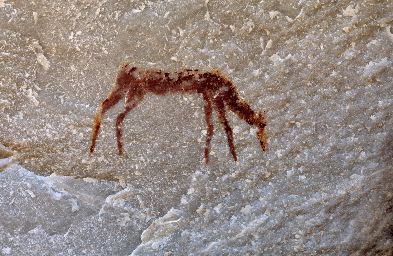 Pintura de pedra de San (bosquímanos), Cedarburg, Western Cape de Unknown
