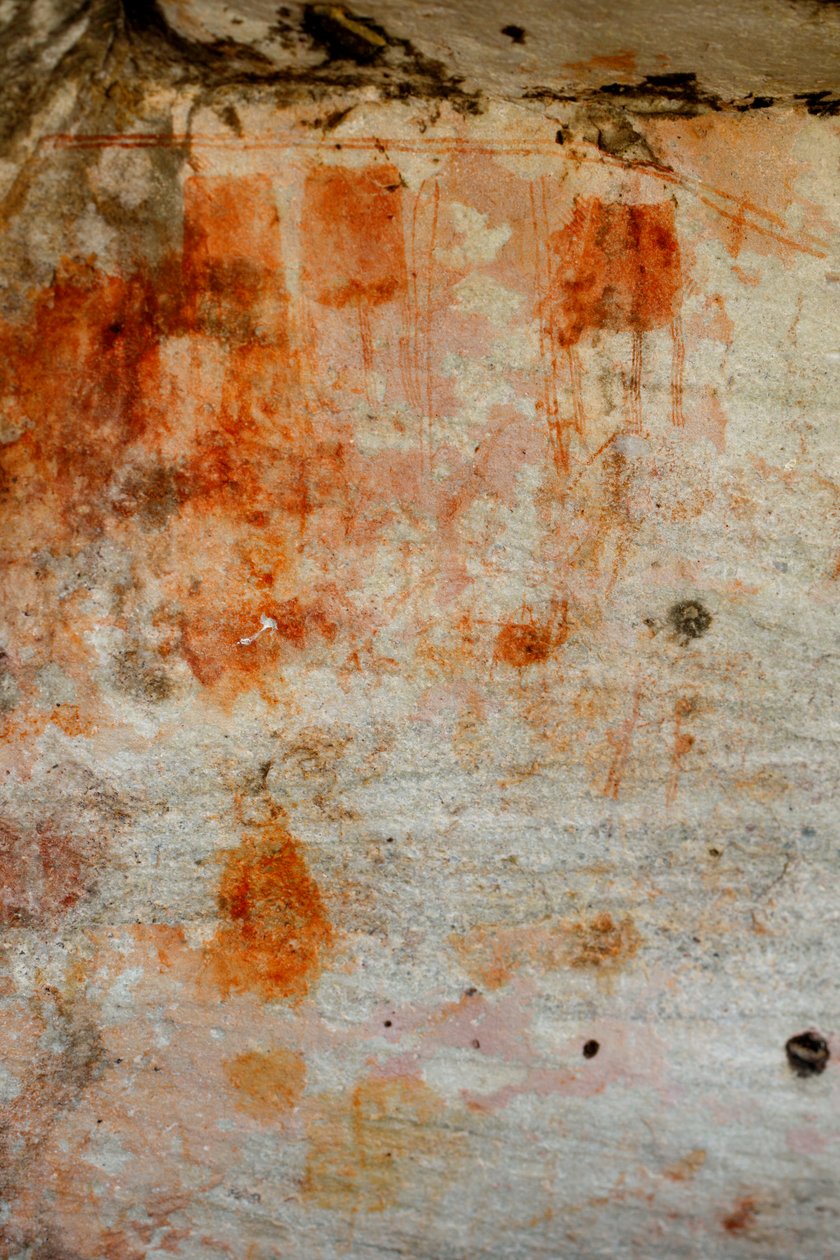 San Rock Art de Unknown