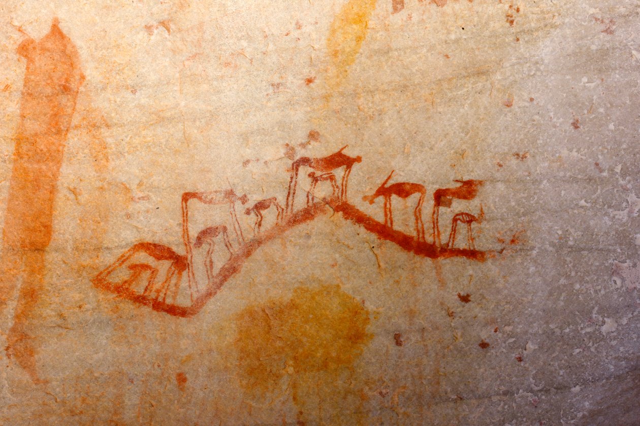 San Rock Art de Unknown