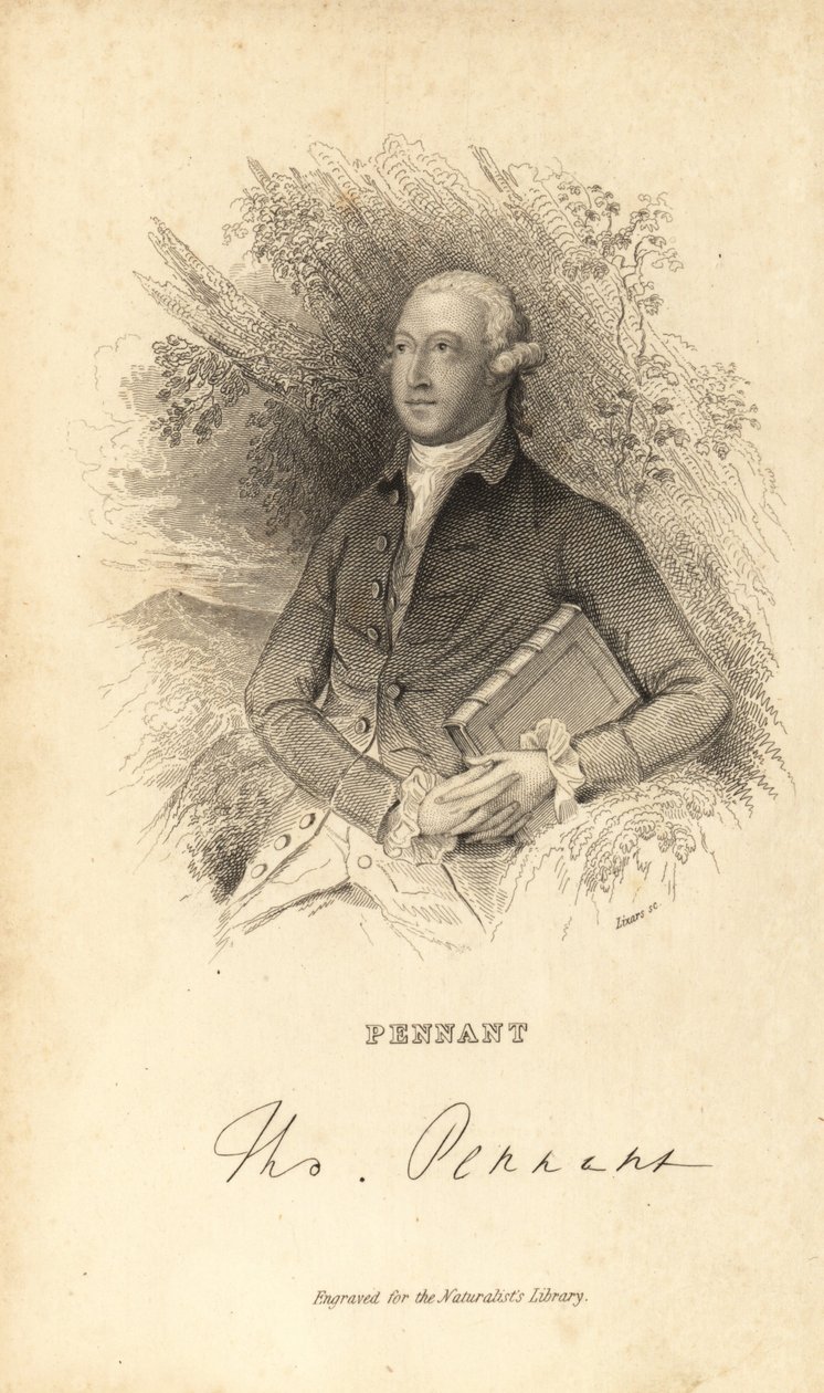Thomas Pennant, naturalista galês, escritor e antiquário, 1726-1798 de Unknown