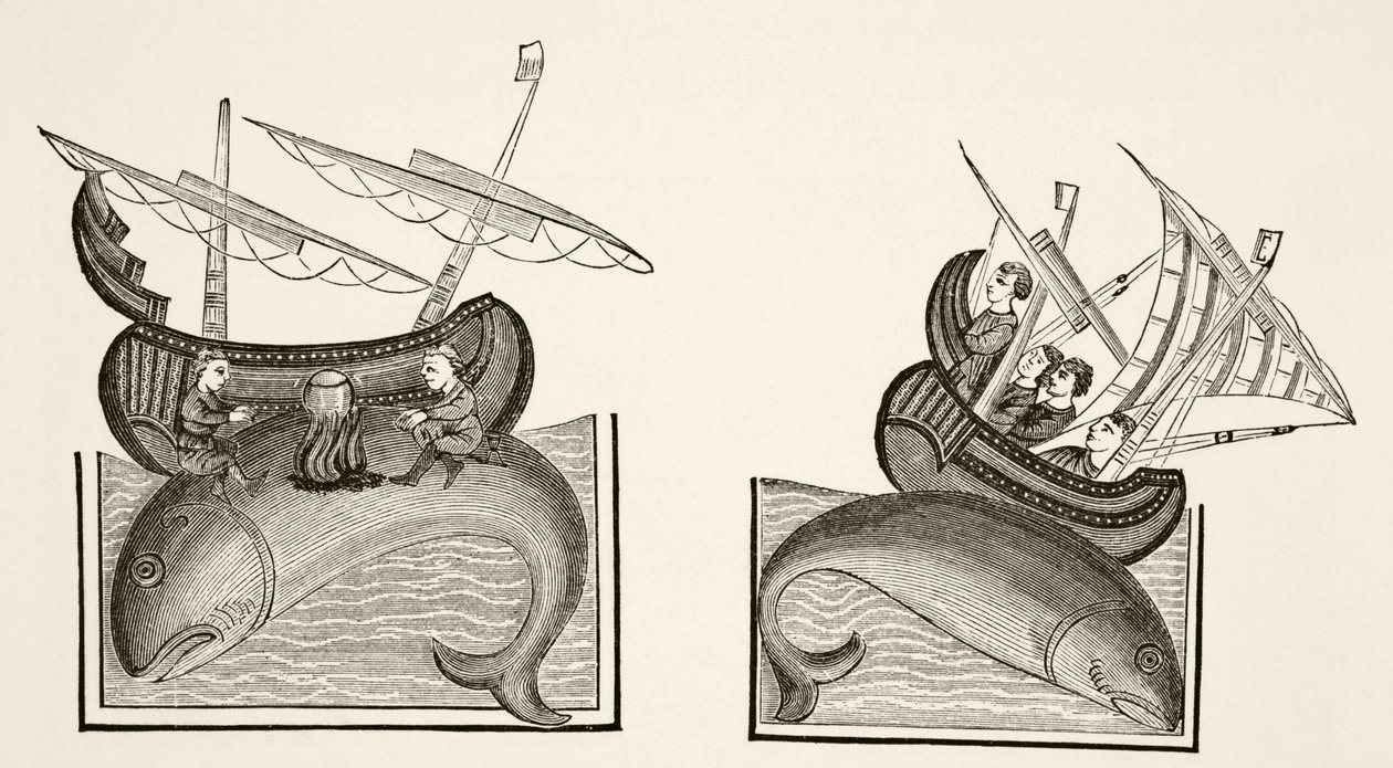 Os navegadores confundem as costas de uma baleia com uma ilha, depois de uma miniatura em "Bestiarire d&39;Amour", de Richard de Fournival, de "Ciência e literatura na Idade Média", de Paul Lacroix, 1878 de English School
