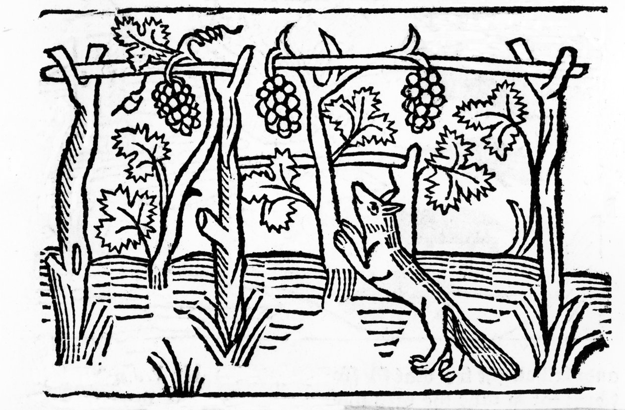 A raposa e as passas, ilustração de &39;Aesop&39;s Fables&39; de Caxton, 1484 (xilogravura) de English School