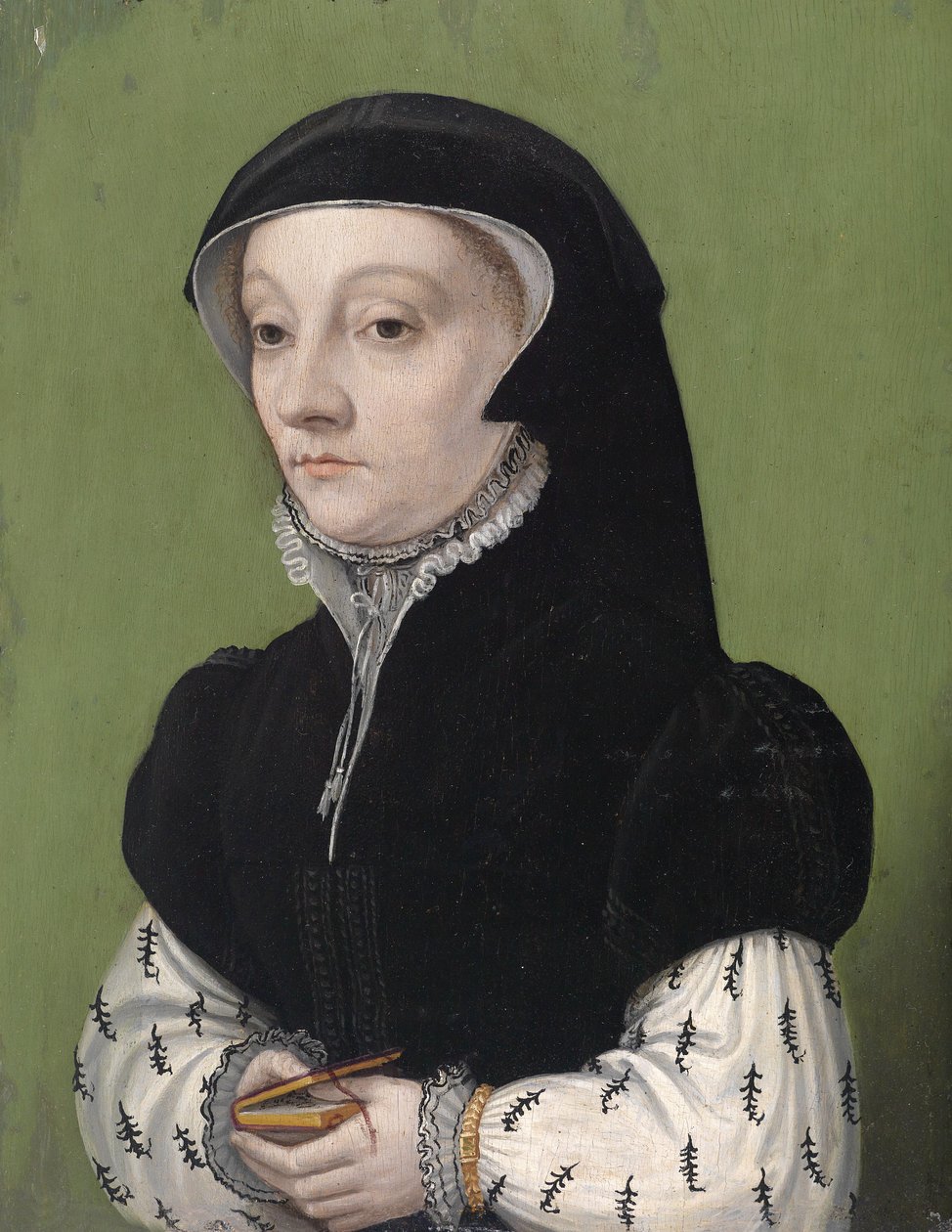 Retrato, de, um, mulher segura, um, livro de Anonymous