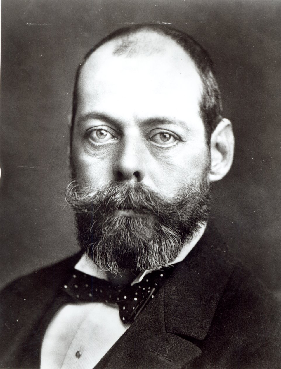 Retrato de randolph churchill de English Photographer