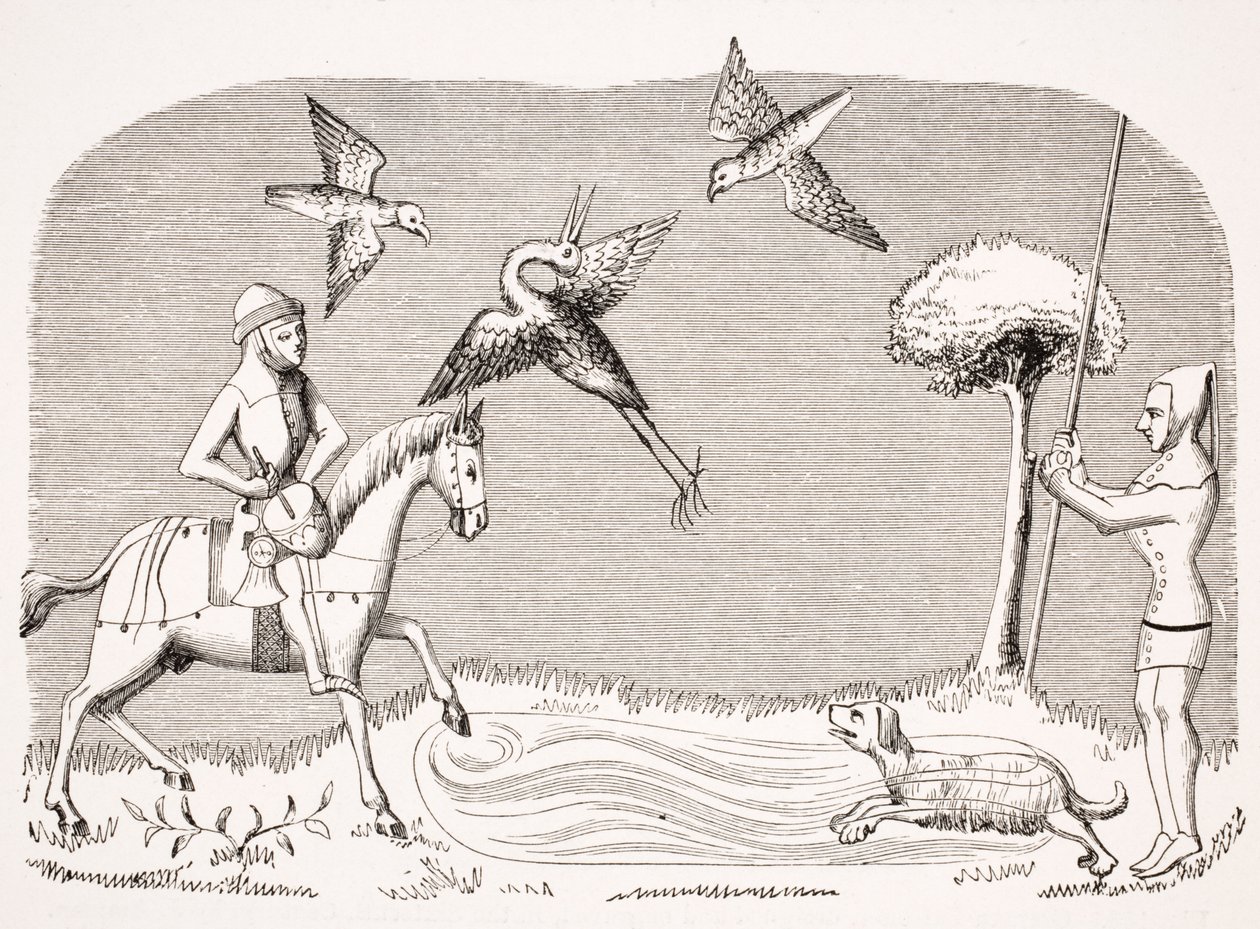 Heron Hawking, reprodução de uma miniatura no manuscrito do século XIV "Livre de Roy du Modus", de Henri de Ferrieres, de "Le Moyen Age et La Renaissance", de Paul Lacroix (1806-84), publicado em 1847 de French School