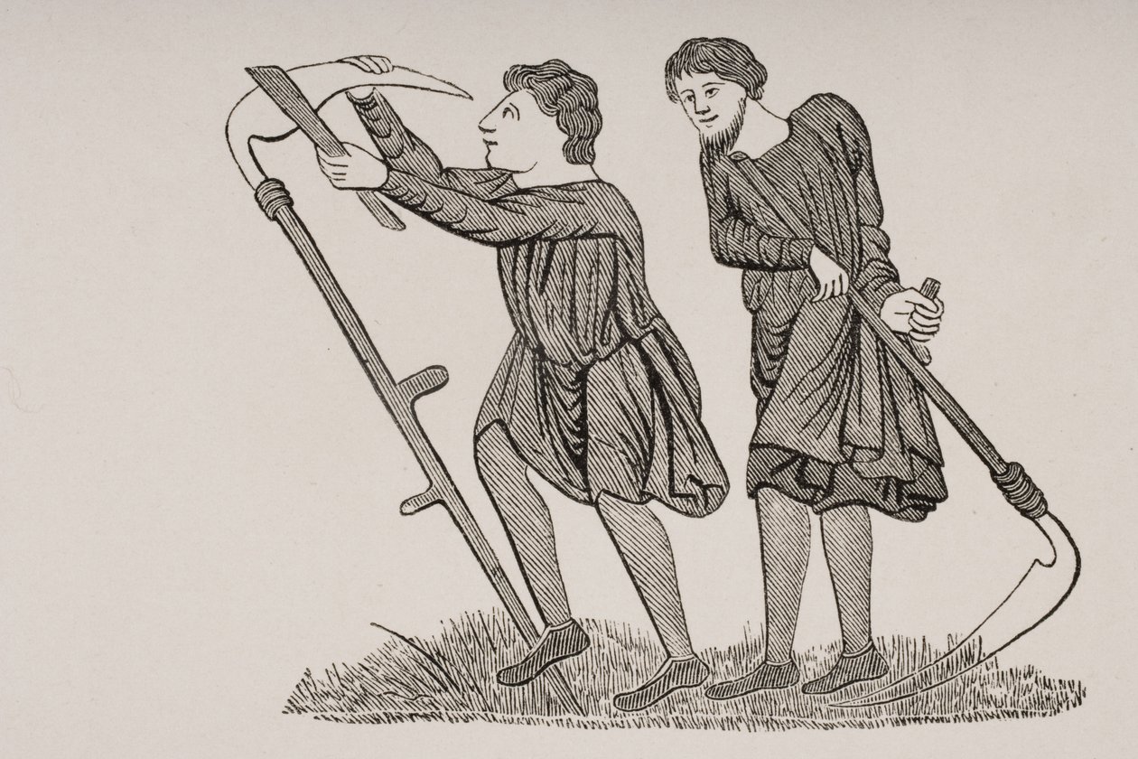 Servos trabalhando nos campos com foices, depois de uma miniatura em um manuscrito do século XII, de "Le Moyen Age et La Renaissance", de Paul Lacroix (1806-84), publicado em 1847 de French School