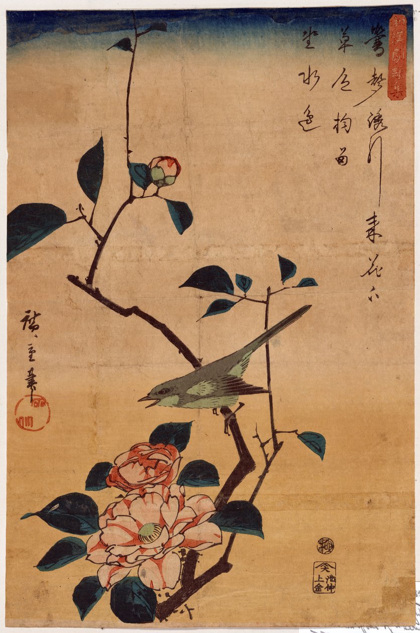 Tsubaki ni Uguisu (Camélia e Toutinegra de Bush) de Utagawa Hiroshige