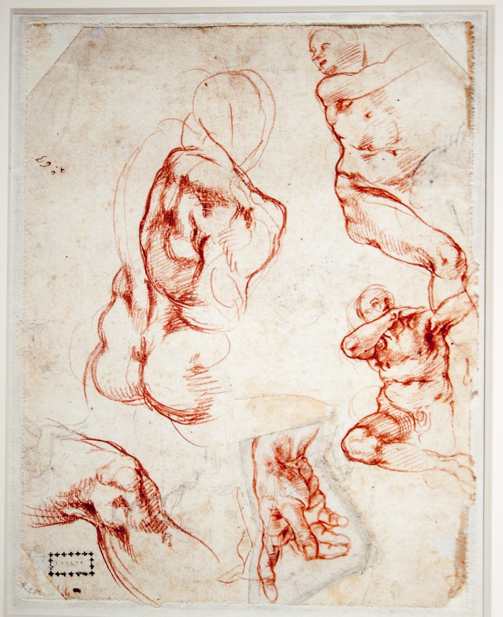 Estudo para a mão de Deus (Criando Adão) de Michelangelo Buonarroti