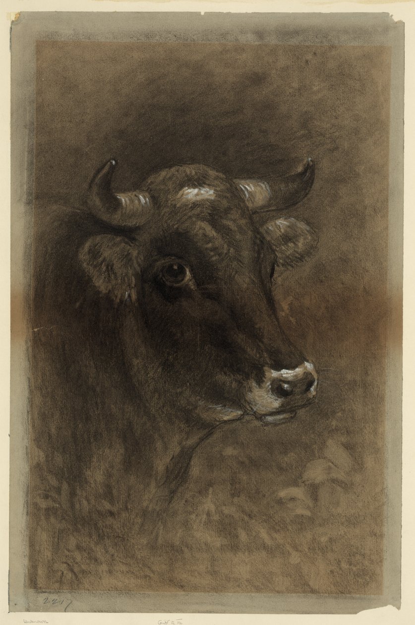 Vaca de Unbekannt Unbekannt