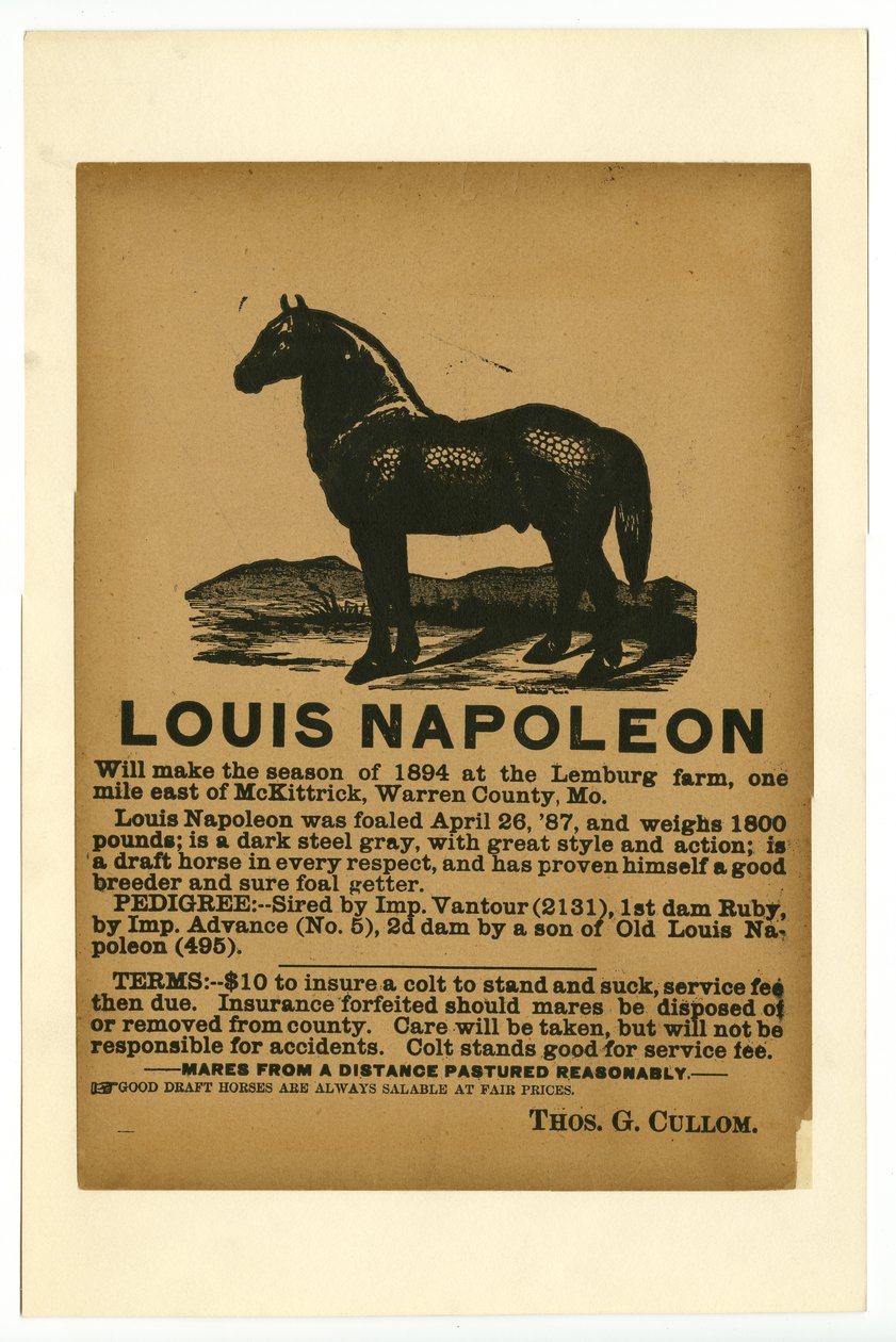 Cavalo de calado publicitário de Borda Louis Napoleon para serviço, 1894 de Unknown