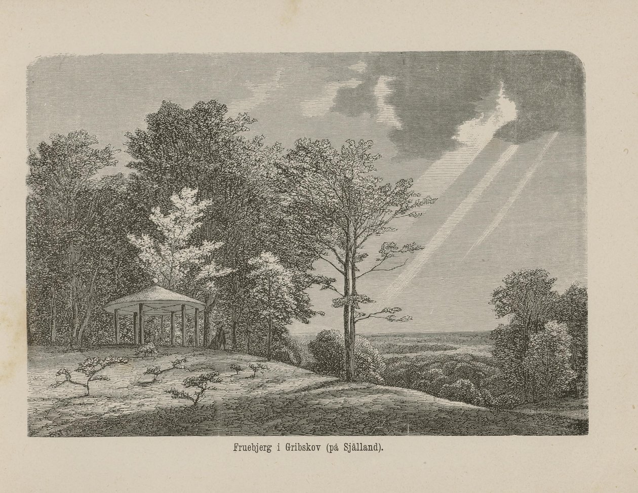 Ilustração tirada do livro Nordiska taflor de autor desconhecido e publicada por Albert Bonnier (ver, 1865) de Unknown
