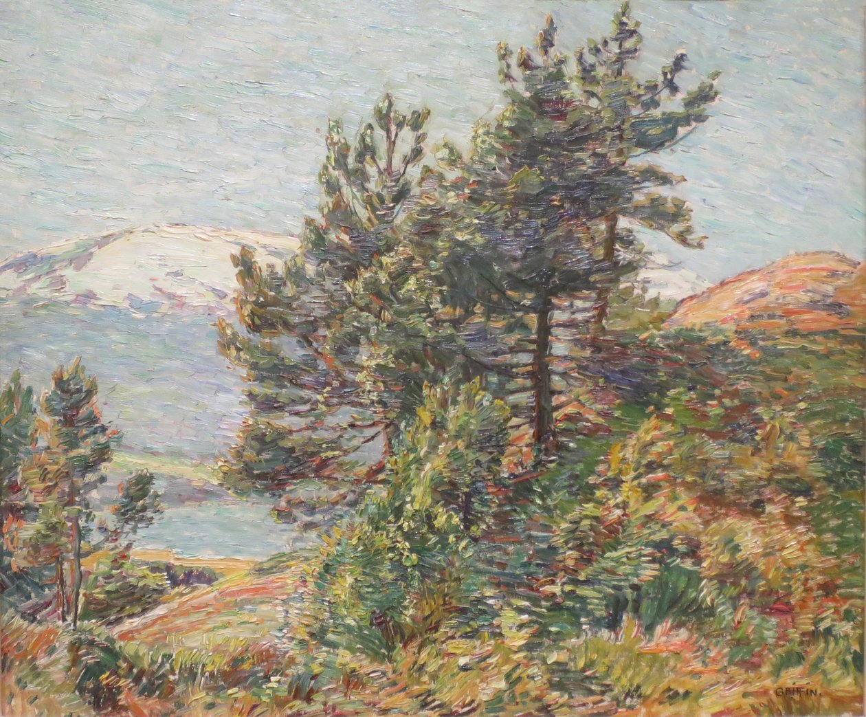 Paisagem de pinheiros da Noruega de Walter Griffin
