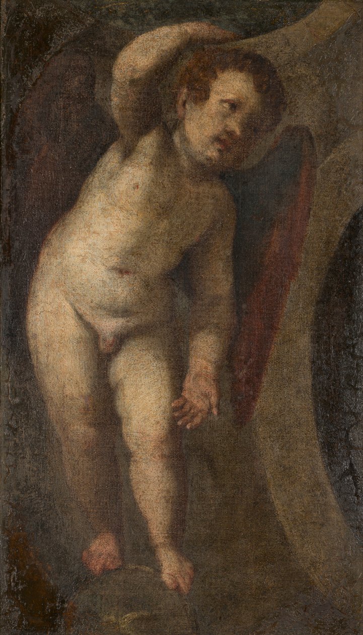 A Standing Putto, c.1548-88 (óleo sobre tela) de Veronese