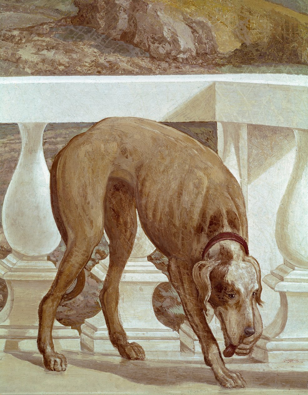 Cão numa varanda. Detalhe do Fresco. Pintura de Paolo Caliari chamada Paolo Veronese (1528-1588), cerca de 1561. Fresco Maser (Treviso), Villa Barbaro, Sala Bacchus de Veronese