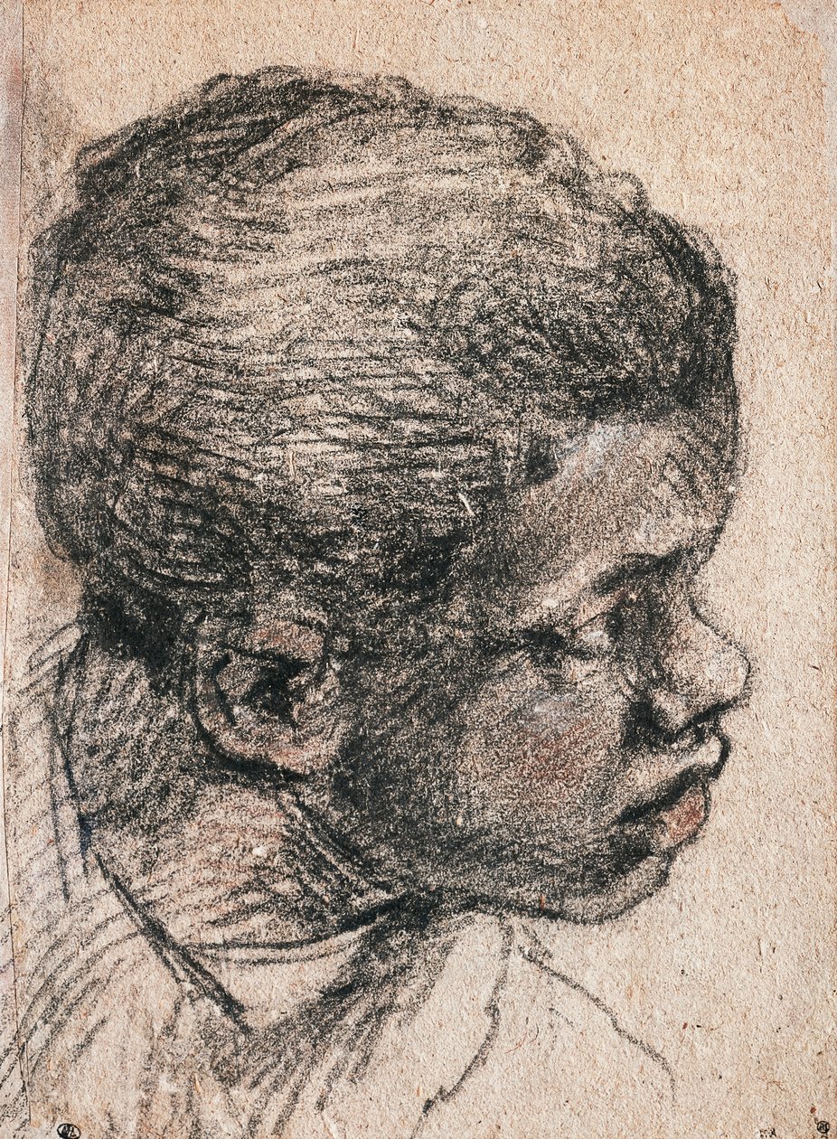 Chefe do menino negro, Paolo Caliari conhecido como Veronese (1528-1588), desenho de Veronese