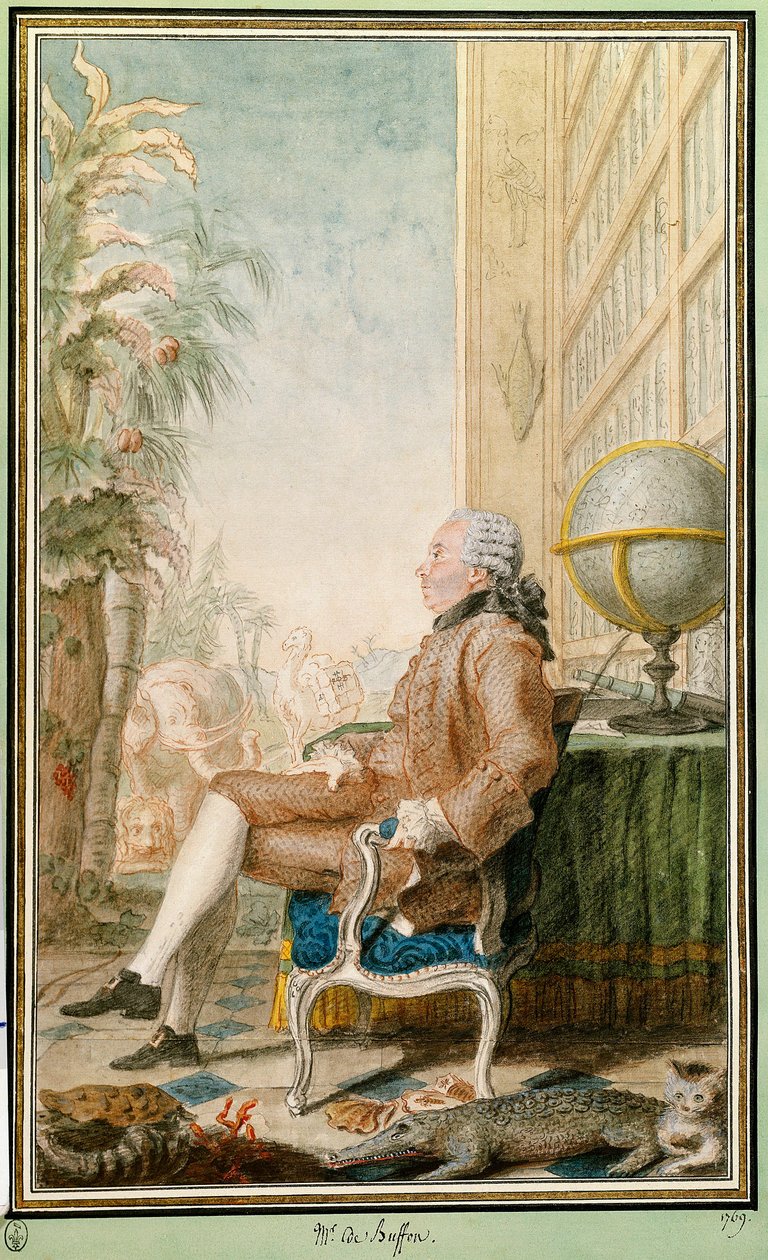 Retrato de Georges-Louis Leclerc, Conde de Buffon (1707-1788), naturalista, intendant do Jardin du Roi. Aguarela de Louis Carrogis Carmontelle (1717-1806). Chantilly. Museu Conde de Carmontelle