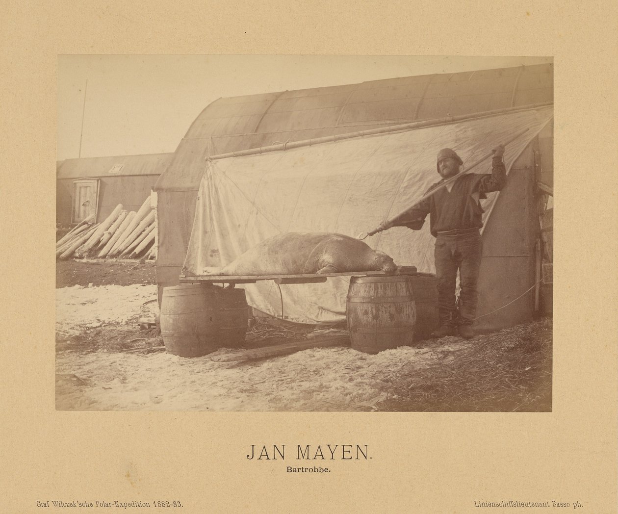 Jan Mayen, Bartrobbe de (Linienschiffs Lieutenant) Richard Basso